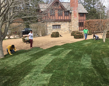 Portillo Landscaping LLC