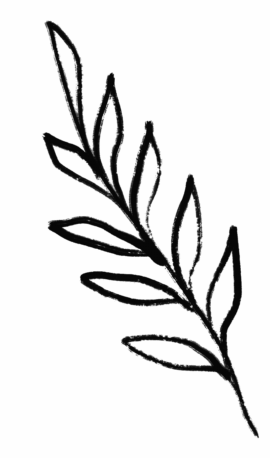 FDF27027-DAC8-4142-9F57-47F625B205D7.gif