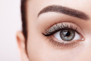 Perfect+Eyebrow+Shape.jpg