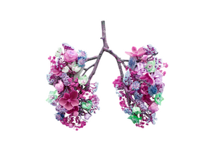 What No One Tells You About Breathing Awareness