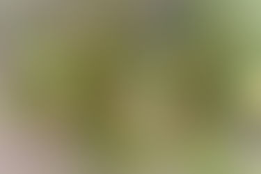 La joie prend la place... (Jn 16, 20-23a)