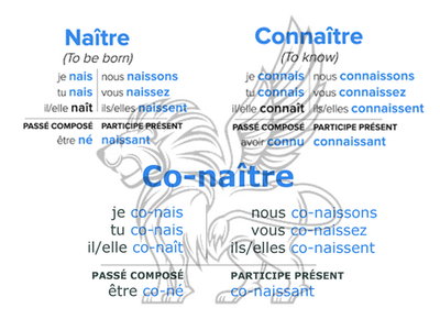 Connaître et co-naître (Mc 1, 29-39)
