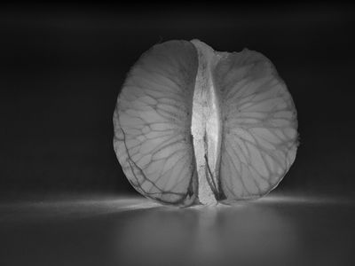 Seigneur, je ne suis pas digne... (Mt 8, 8)