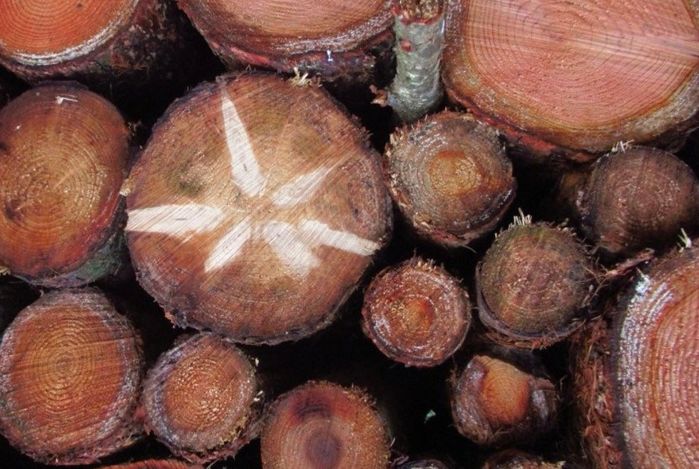 (c) Monastère d'Hurtebise