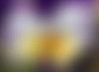 Sept maris ? Ciel !!! (Mc 12, 18-27)