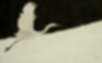 _U8A1984-002