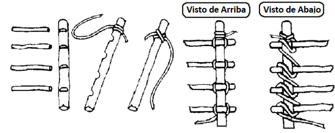 05 Amarra continua simple.png