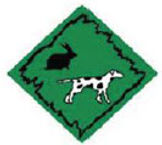 N06-Mascotas.jpg