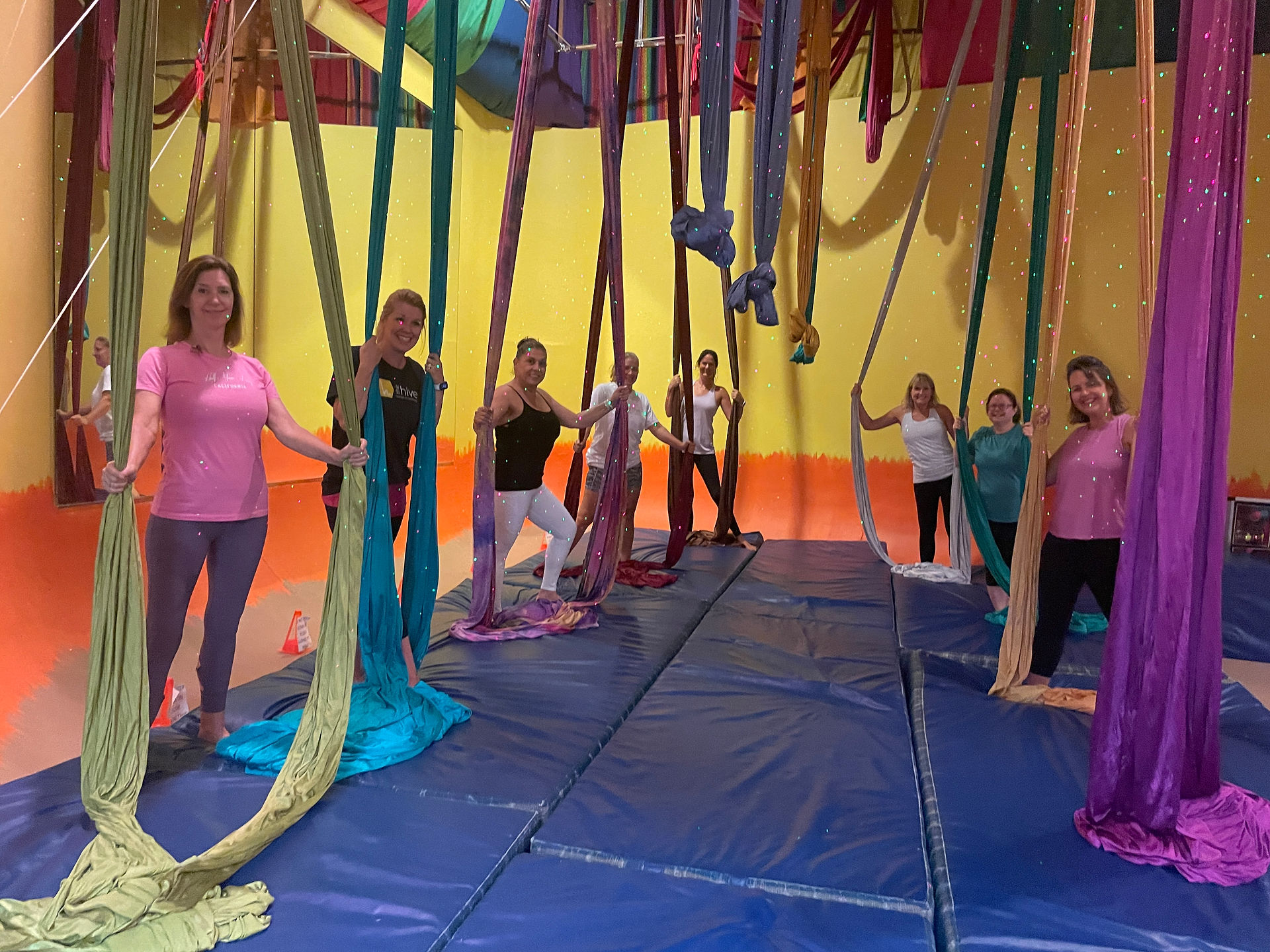 aerial fitness