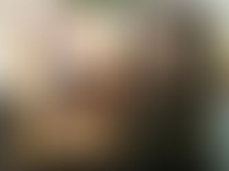 Books are in the Wild