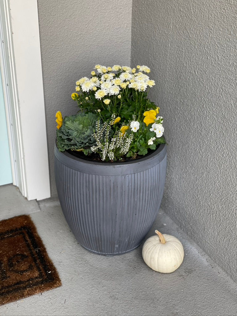 Thumbnail: Fall ~ Cabbage Patch & Pumpkin Princess