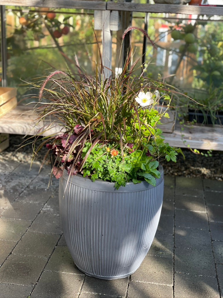 Thumbnail: Fall ~ Cabbage Patch & Pumpkin Princess