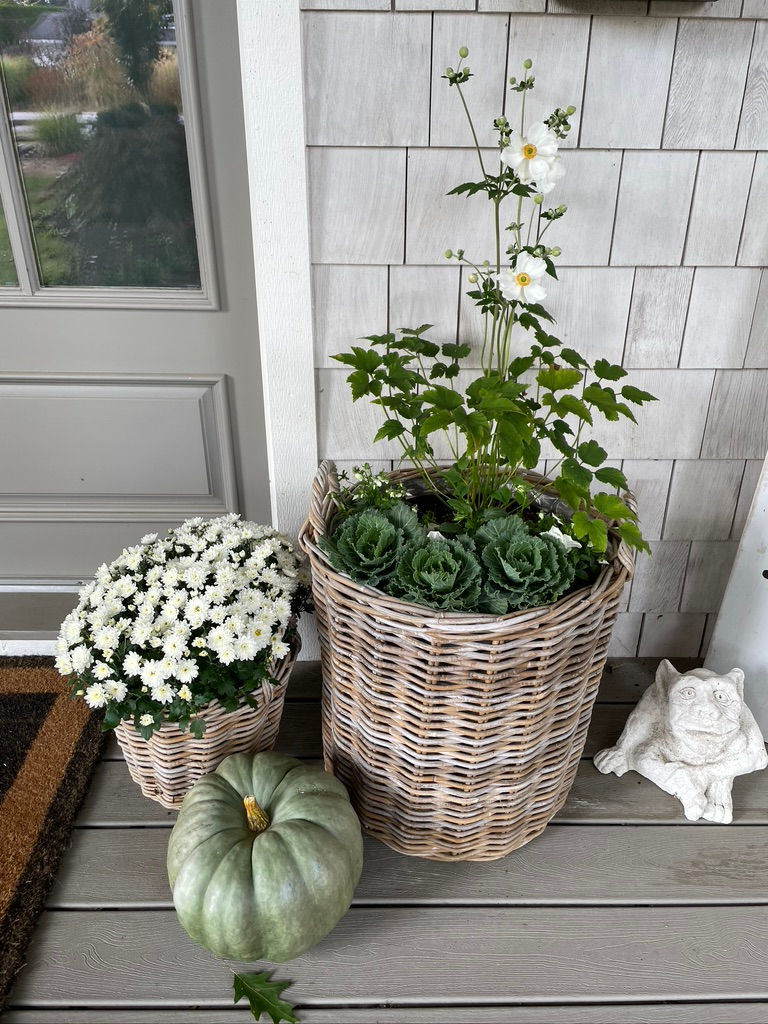 Thumbnail: Fall ~ Cabbage Patch & Pumpkin Princess