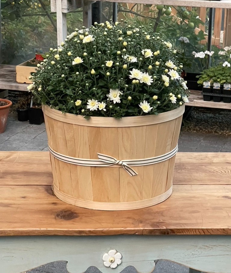 mum apple basket