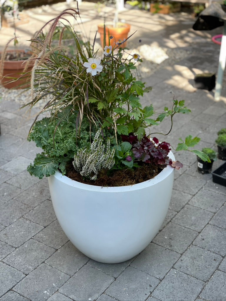 Thumbnail: Fall ~ Cabbage Patch & Pumpkin Princess