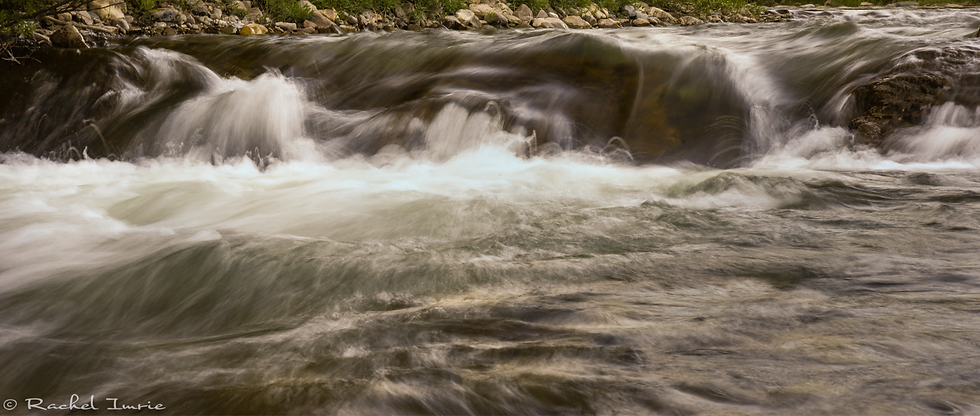 Water-8776_edited.png