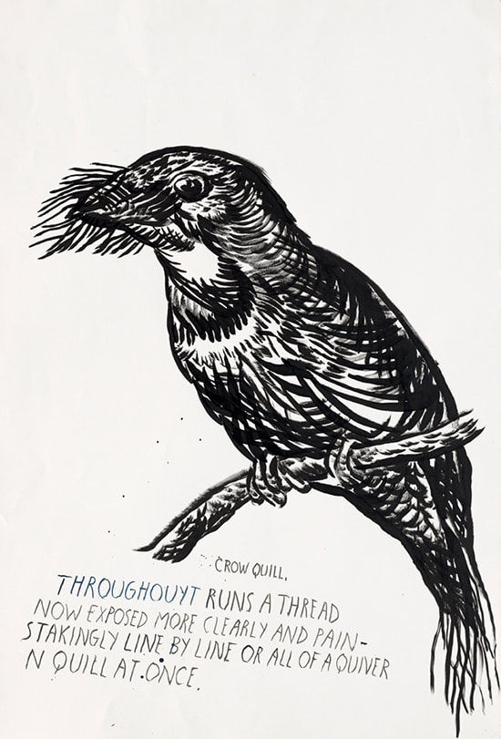 02-raymond-pettibon-sadie-coles_orig