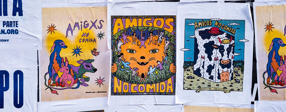 banner web.jpg
