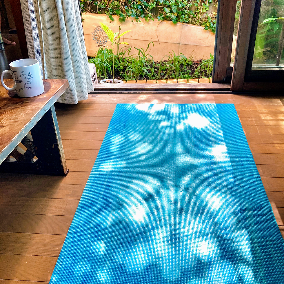 『オンライン～鎌倉ヨガ教室～無料体験』