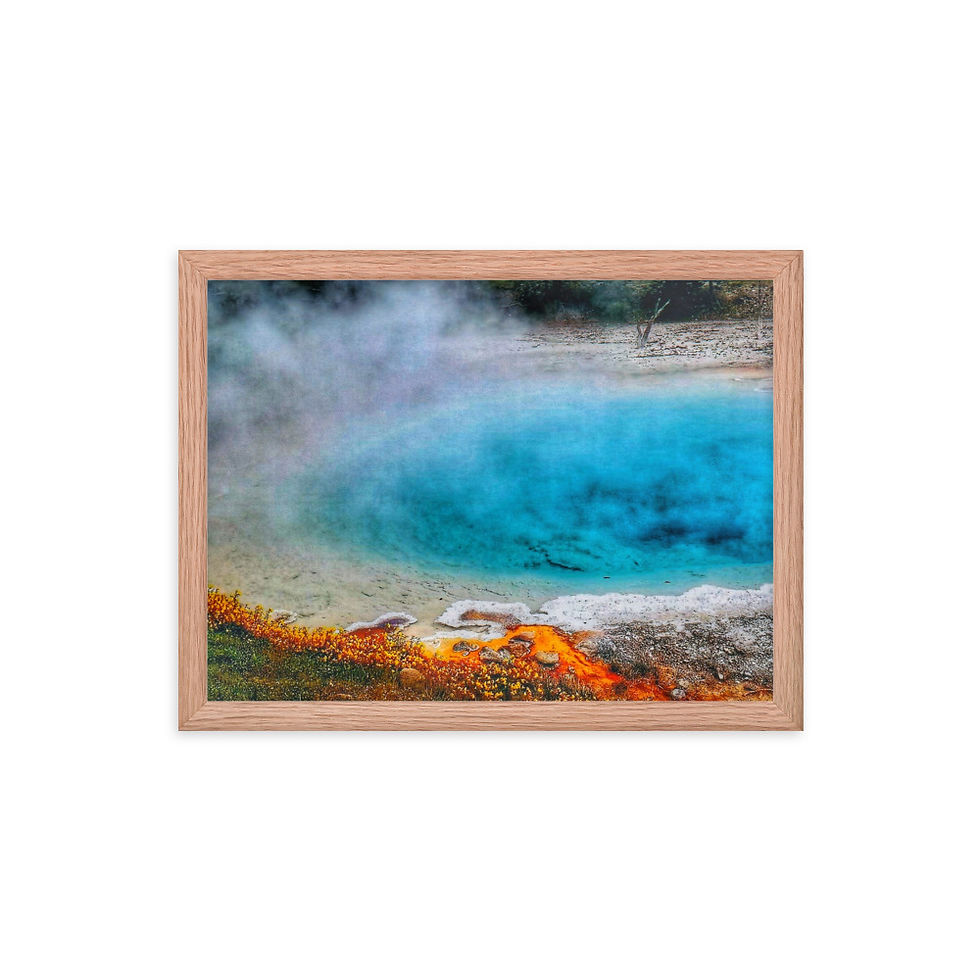 Thumbnail: Framed poster