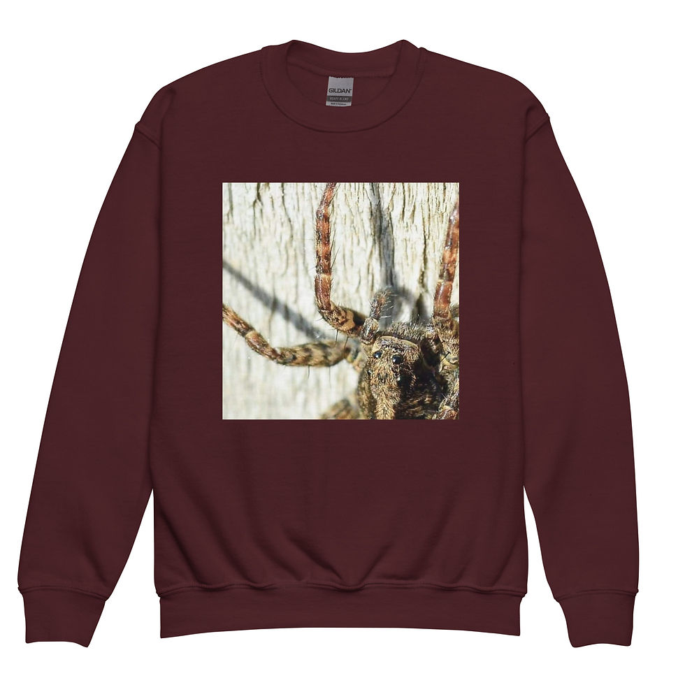 Thumbnail: Youth crewneck sweatshirt