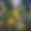 Thumbnail: Photos from Surrey, UK