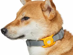 10 Benefits of an AirTag Dog Collar Every Pet Owner Should Know