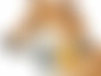 10 Benefits of an AirTag Dog Collar Every Pet Owner Should Know