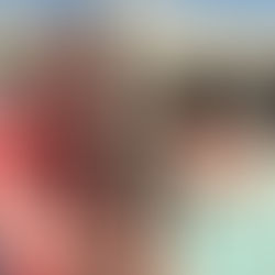 Where to Adopt, Foster, Volunteer & Support French Bulldog Rescue in Houston and Across the U.S.