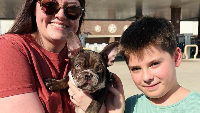 french bulldog rescue san antonio texas