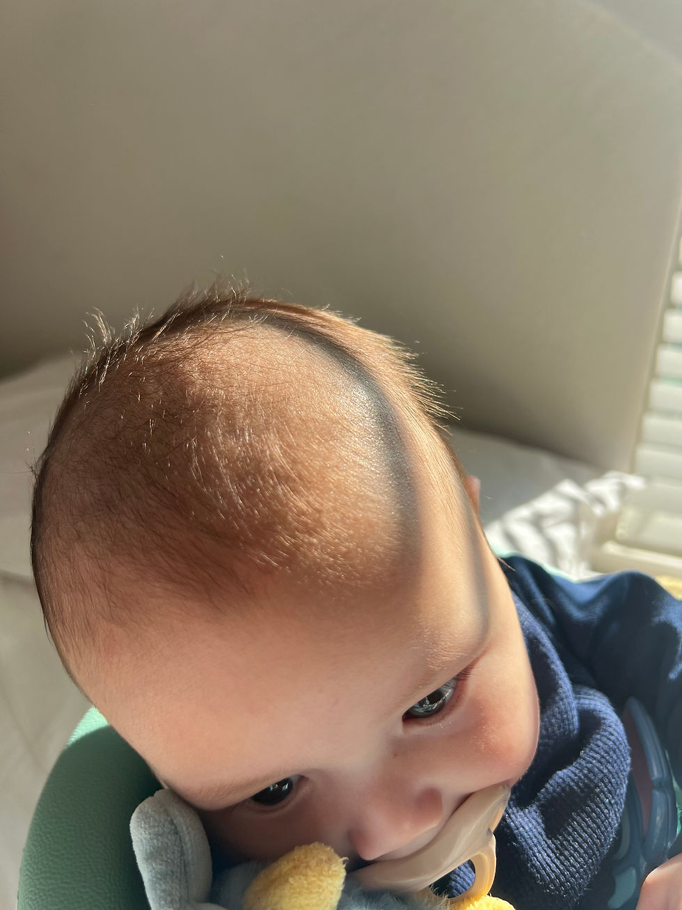 wasian hair