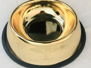 Chase and Chew LV Gold Pet Bowl Review