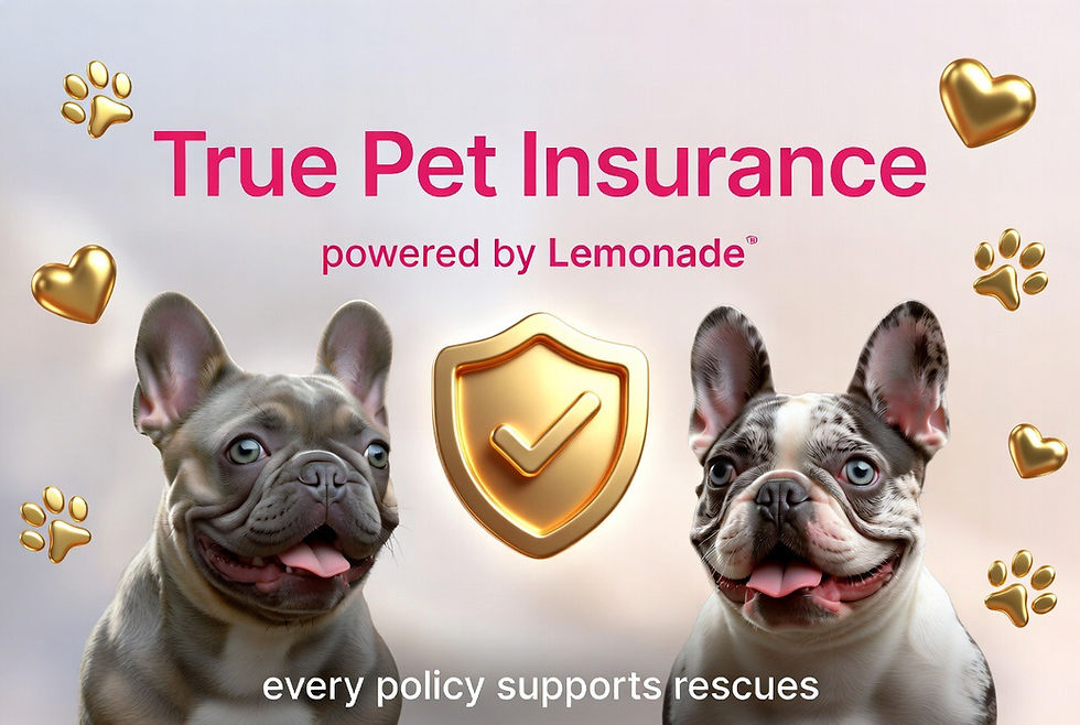 Protect Your Dog While Saving Another: Why Every True Pet Insurance Policy Makes a Difference