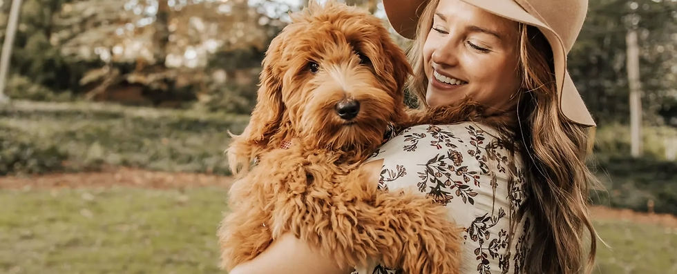 how to get papers for a dog for designer dog breeders