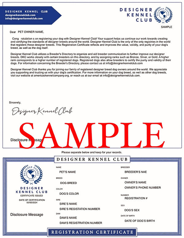 Official Designer Kennel Club registration certificate for a foundation dog