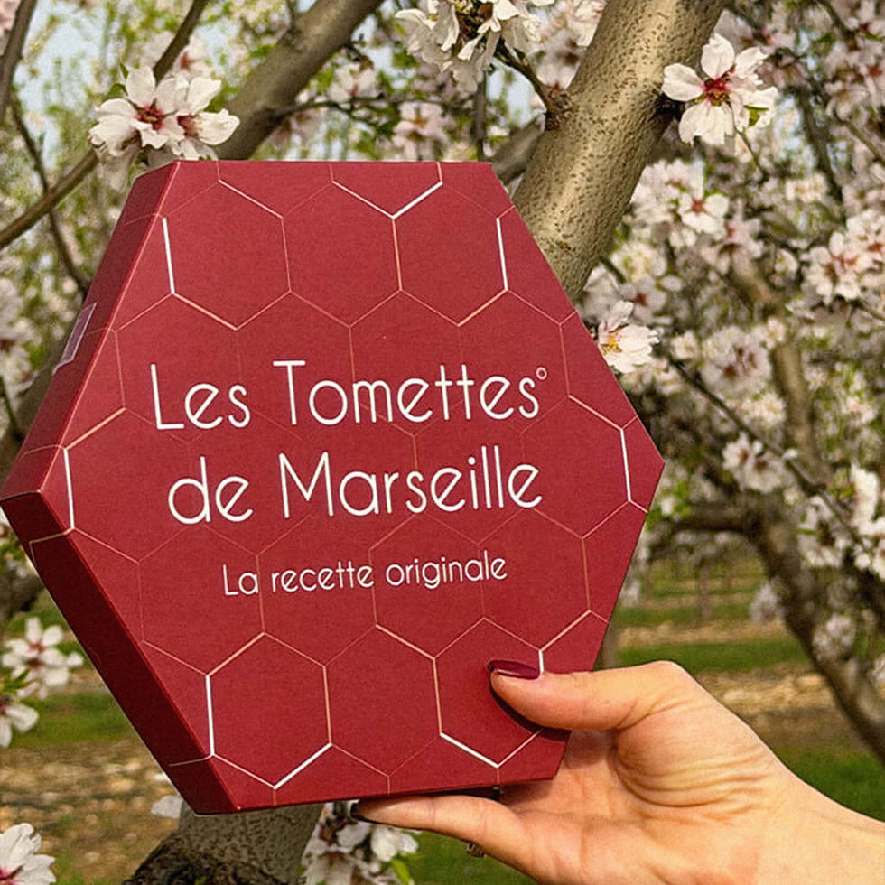 professionnel-reunion-entreprise-tomettesdemarseille 3.jpg