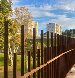 Plaine busserine _naom19