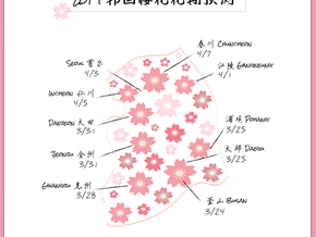 2019韩国樱花花期预测