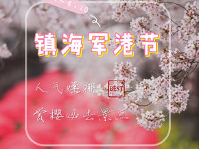 镇海军港节·赏樱人气景点大集合