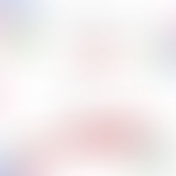 韩国夏季限定-绣球花季