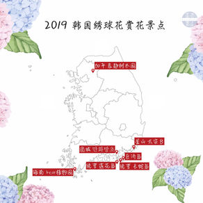 韩国夏季限定-绣球花季