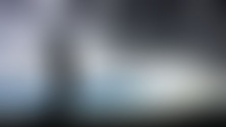 Mental Systems for Performance