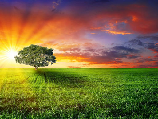 Wake Up!...Join us at Creed in Feb.