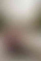 engaged couple brick road