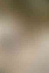 Winter Park Engagement Session