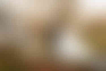 spring wedding highland manor