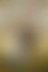 Bride and Groom with dogs