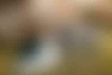 spring wedding highland manor