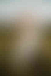 engagement white dress field