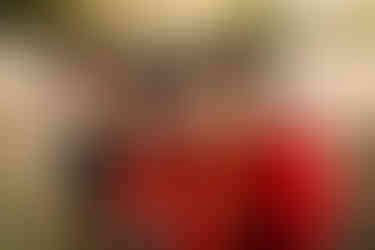 family holiday mini session